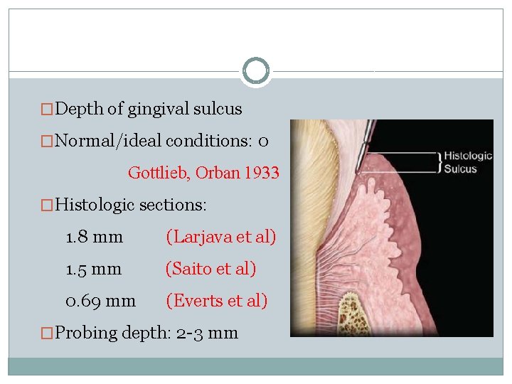 �Depth of gingival sulcus �Normal/ideal conditions: 0 Gottlieb, Orban 1933 �Histologic sections: 1. 8