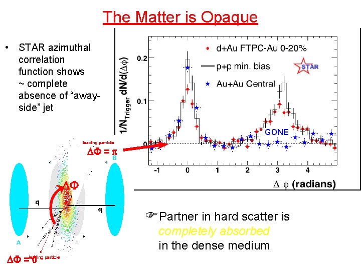 The Matter is Opaque • STAR azimuthal correlation function shows ~ complete absence of