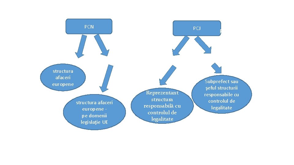 PCN 1 SN PCJ 5 USN 1 USJ structura afaceri europene pe domenii legislaţie