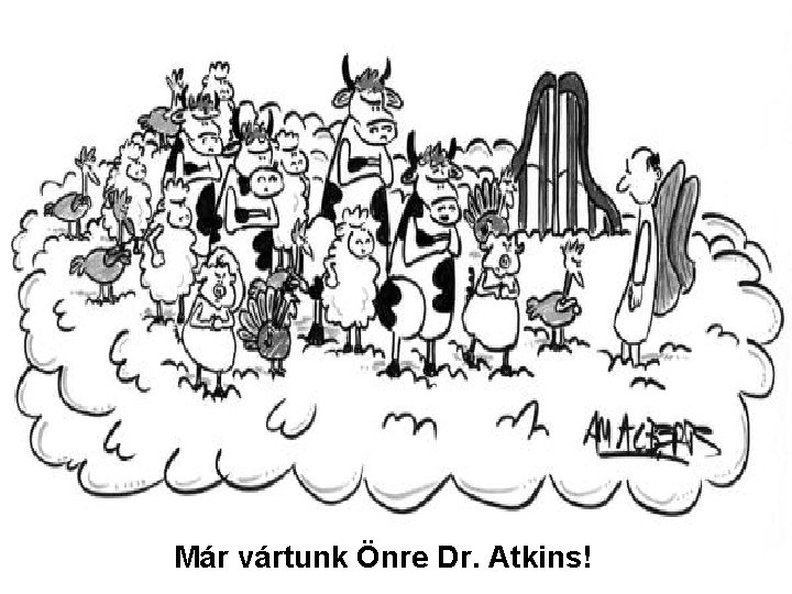Már vártunk Önre Dr. Atkins! 