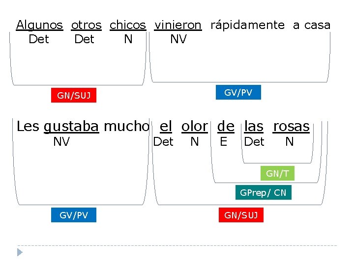 Algunos otros chicos vinieron rápidamente a casa Det N NV GV/PV GN/SUJ Les gustaba