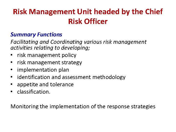 Risk Management Unit headed by the Chief Risk Officer Summary Functions Facilitating and Coordinating