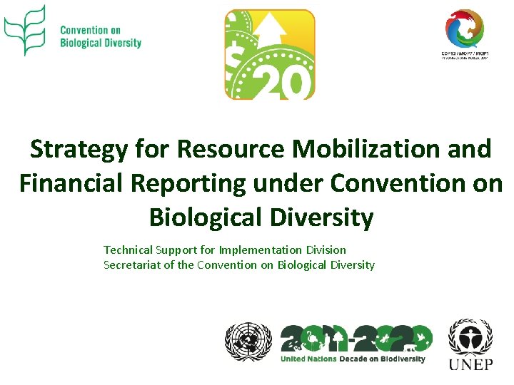 Strategy for Resource Mobilization and Financial Reporting under Convention on Biological Diversity Technical Support
