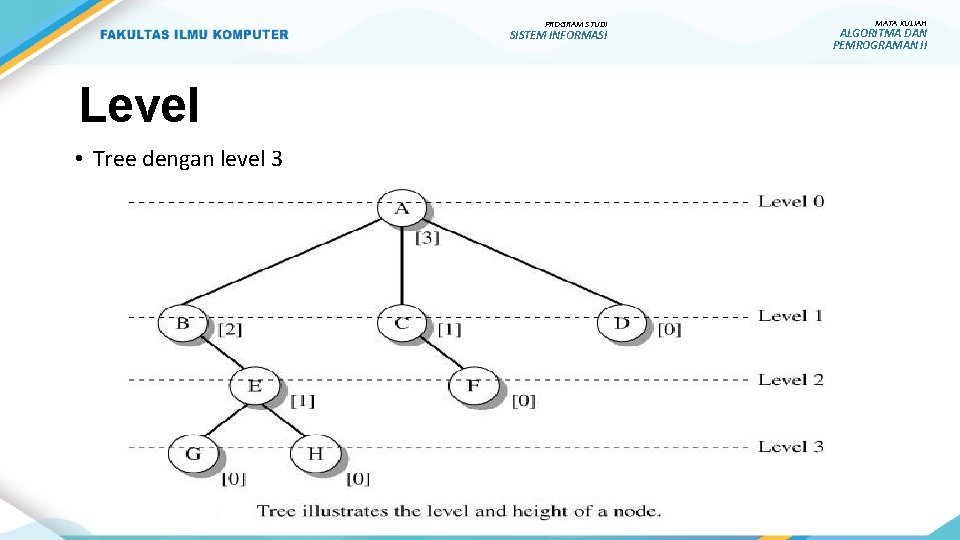 PROGRAM STUDI SISTEM INFORMASI Level • Tree dengan level 3 MATA KULIAH ALGORITMA DAN
