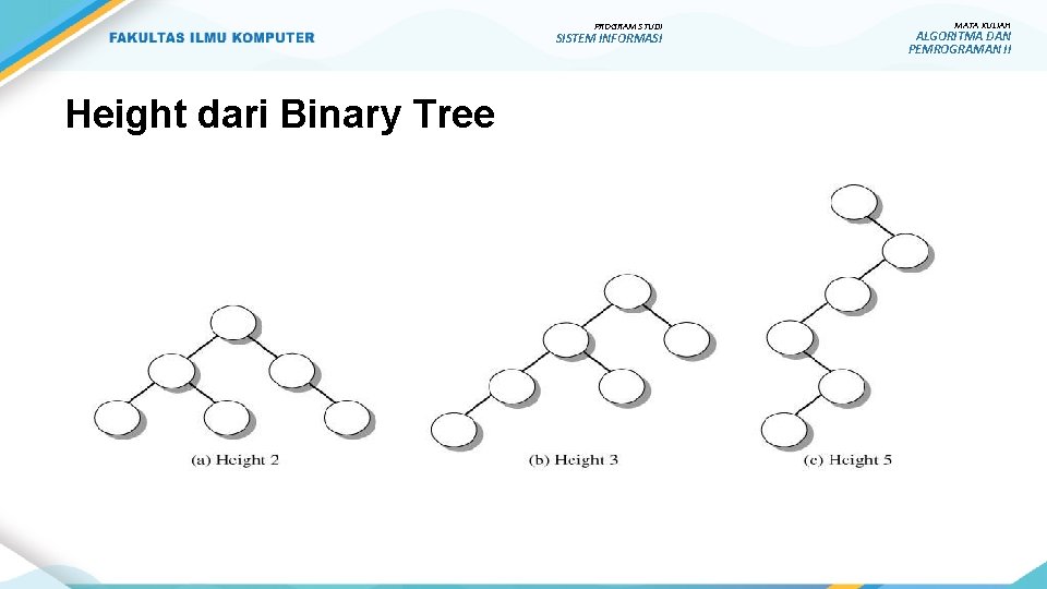 PROGRAM STUDI SISTEM INFORMASI Height dari Binary Tree MATA KULIAH ALGORITMA DAN PEMROGRAMAN II