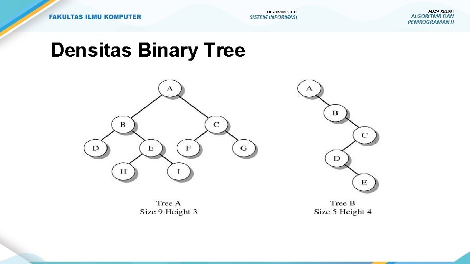 PROGRAM STUDI SISTEM INFORMASI Densitas Binary Tree MATA KULIAH ALGORITMA DAN PEMROGRAMAN II 