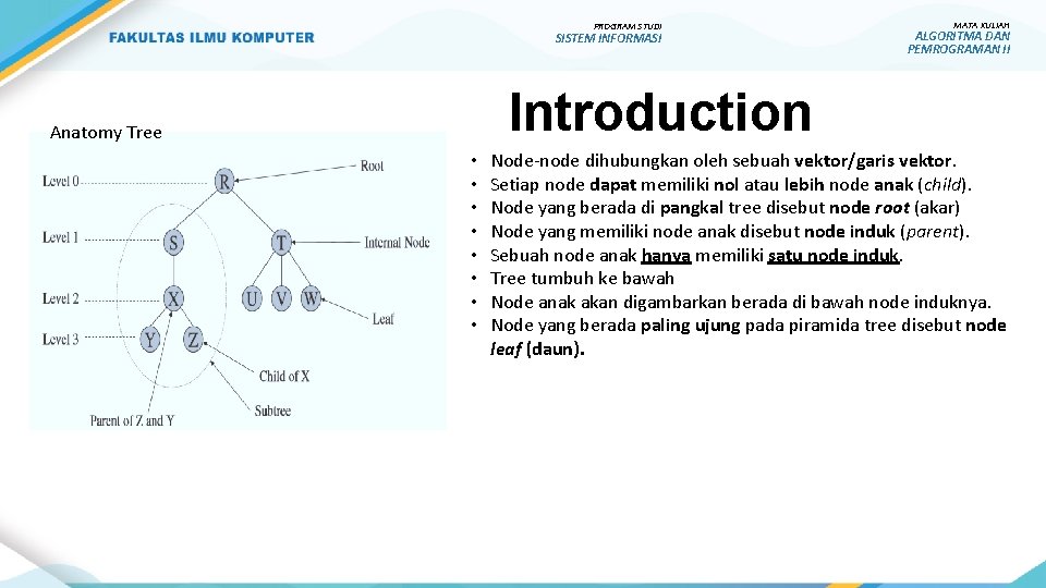 PROGRAM STUDI SISTEM INFORMASI MATA KULIAH ALGORITMA DAN PEMROGRAMAN II Introduction Anatomy Tree •