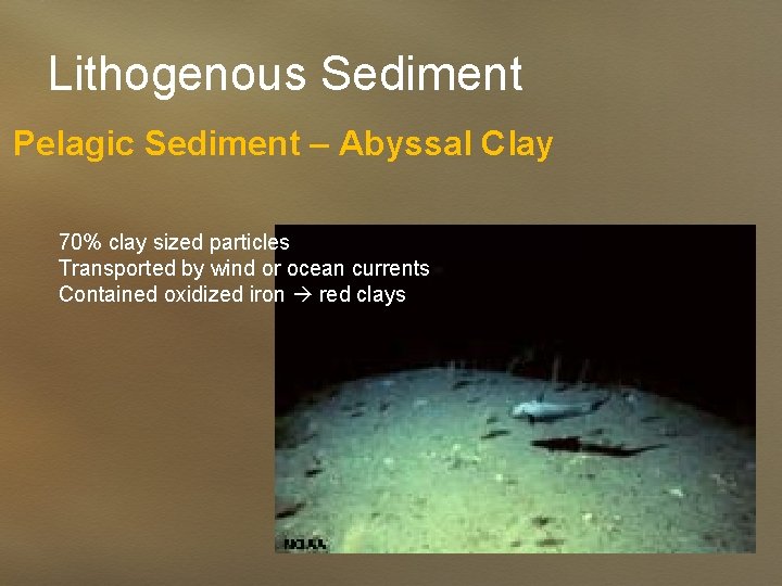 Lithogenous Sediment Pelagic Sediment – Abyssal Clay 70% clay sized particles Transported by wind