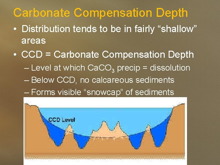 Carbonate Compensation Depth • Distribution tends to be in fairly “shallow” areas • CCD