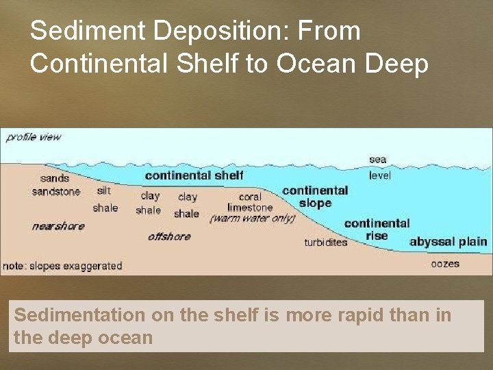 Sediment Deposition: From Continental Shelf to Ocean Deep Sedimentation on the shelf is more