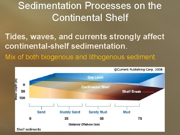 Sedimentation Processes on the Continental Shelf Tides, waves, and currents strongly affect continental-shelf sedimentation.