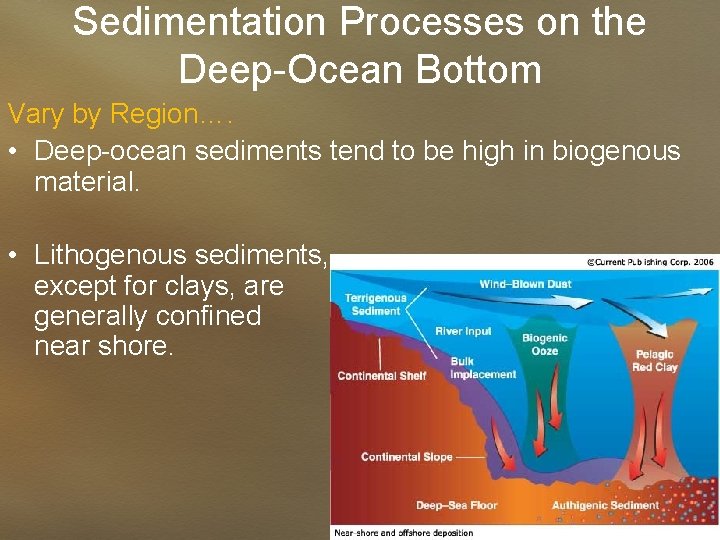 Sedimentation Processes on the Deep-Ocean Bottom Vary by Region…. • Deep-ocean sediments tend to