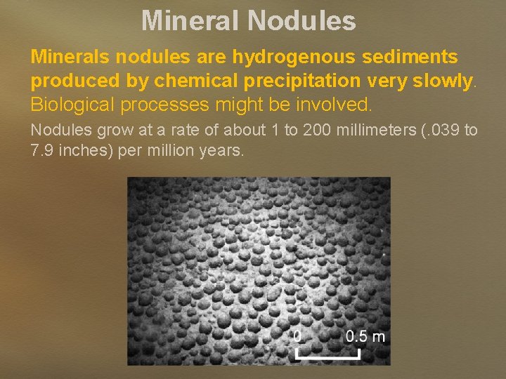 Mineral Nodules Minerals nodules are hydrogenous sediments produced by chemical precipitation very slowly. Biological