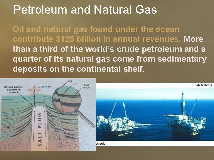 Petroleum and Natural Gas Oil and natural gas found under the ocean contribute $125