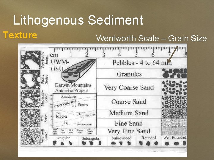 Lithogenous Sediment Texture Wentworth Scale – Grain Size 