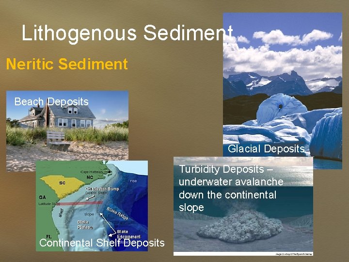 Lithogenous Sediment Neritic Sediment Beach Deposits Glacial Deposits Turbidity Deposits – underwater avalanche down