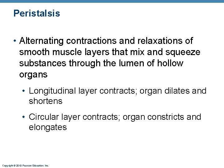 Peristalsis • Alternating contractions and relaxations of smooth muscle layers that mix and squeeze