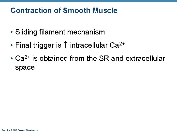 Contraction of Smooth Muscle • Sliding filament mechanism • Final trigger is intracellular Ca