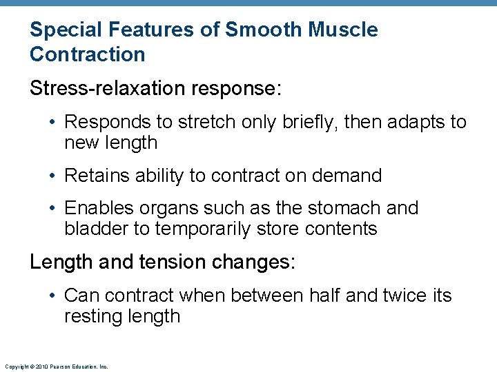 Special Features of Smooth Muscle Contraction Stress-relaxation response: • Responds to stretch only briefly,