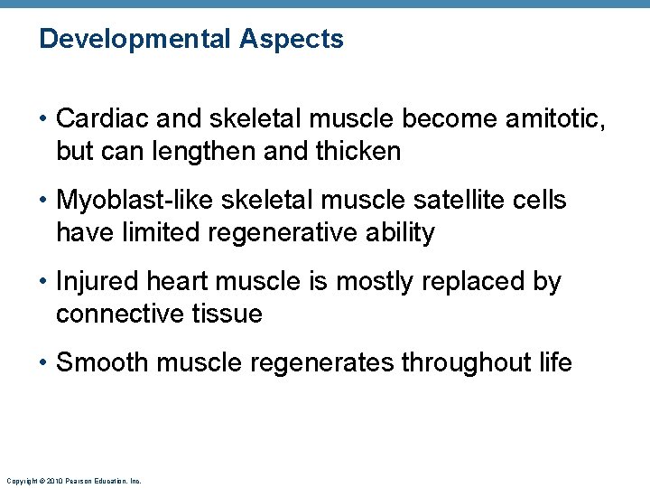 Developmental Aspects • Cardiac and skeletal muscle become amitotic, but can lengthen and thicken