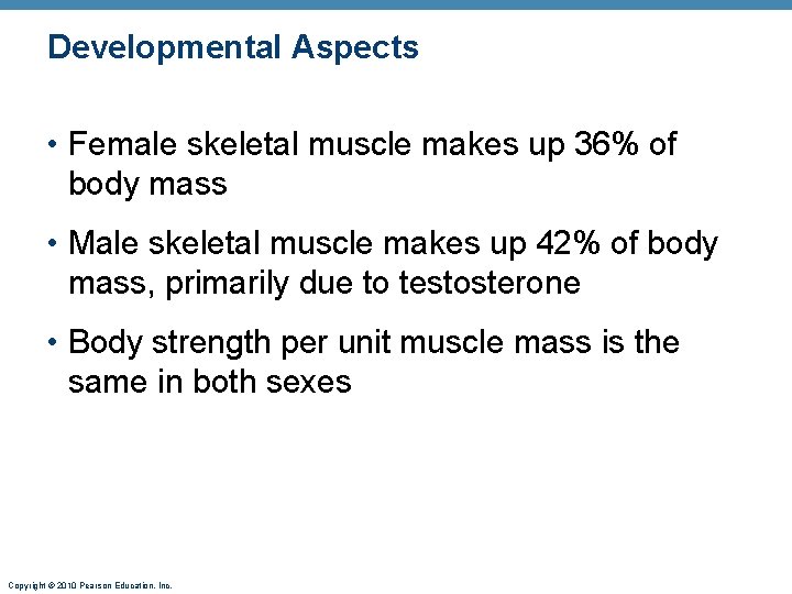 Developmental Aspects • Female skeletal muscle makes up 36% of body mass • Male