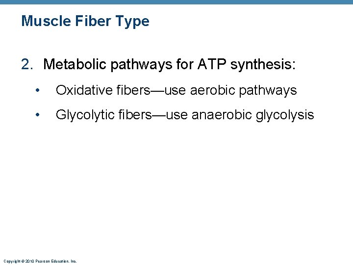 Muscle Fiber Type 2. Metabolic pathways for ATP synthesis: • Oxidative fibers—use aerobic pathways