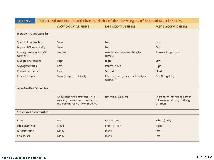 Copyright © 2010 Pearson Education, Inc. Table 9. 2 
