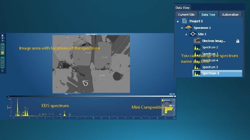 Image area with locations of the spectrum You can change the spectrum name any