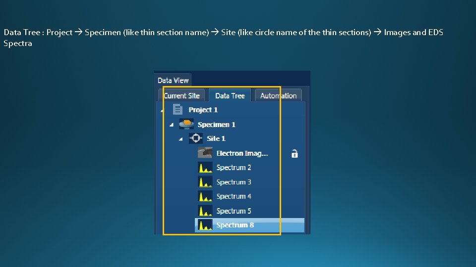 Data Tree : Project Specimen (like thin section name) Site (like circle name of