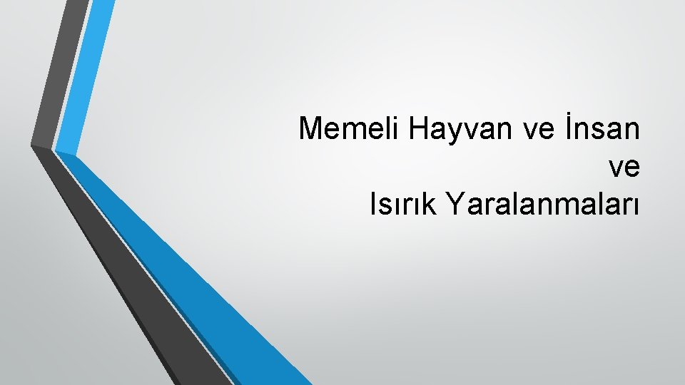 Memeli Hayvan ve İnsan ve Isırık Yaralanmaları 