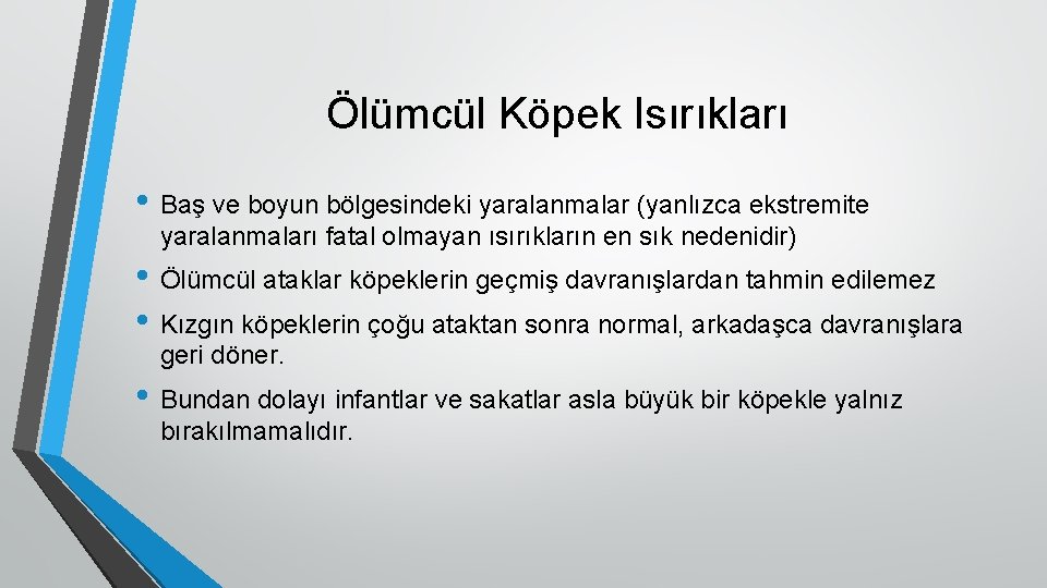 Ölümcül Köpek Isırıkları • Baş ve boyun bölgesindeki yaralanmalar (yanlızca ekstremite yaralanmaları fatal olmayan