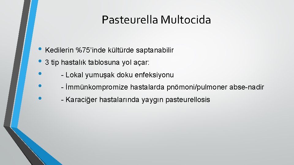 Pasteurella Multocida • Kedilerin %75’inde kültürde saptanabilir • 3 tip hastalık tablosuna yol açar: