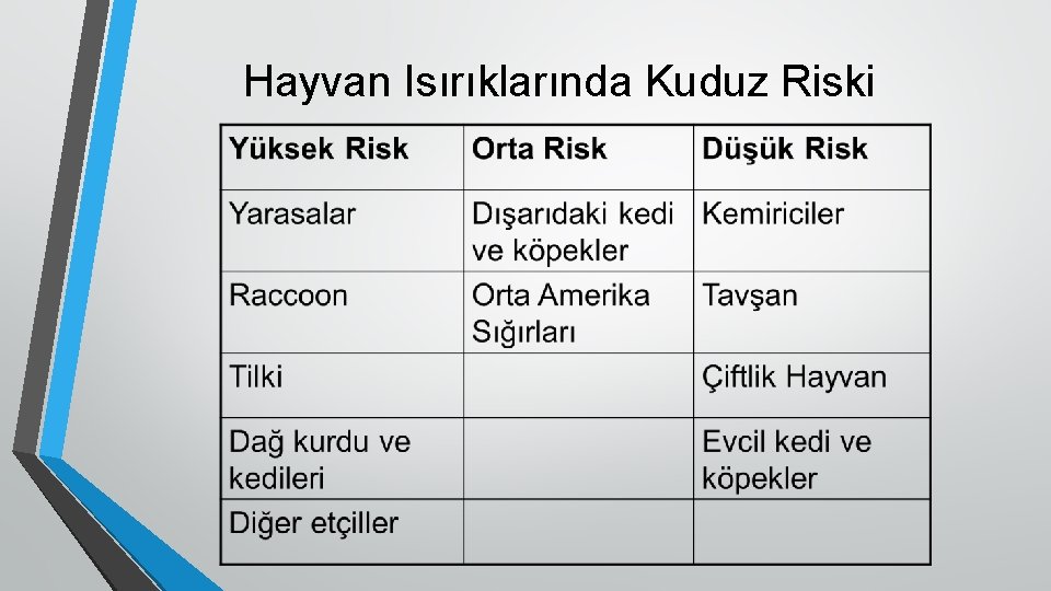 Hayvan Isırıklarında Kuduz Riski 