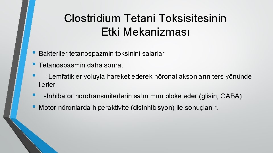 Clostridium Tetani Toksisitesinin Etki Mekanizması • Bakteriler tetanospazmin toksinini salarlar • Tetanospasmin daha sonra: