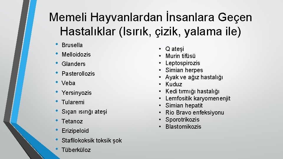 Memeli Hayvanlardan İnsanlara Geçen Hastalıklar (Isırık, çizik, yalama ile) • • • Brusella Melloidozis