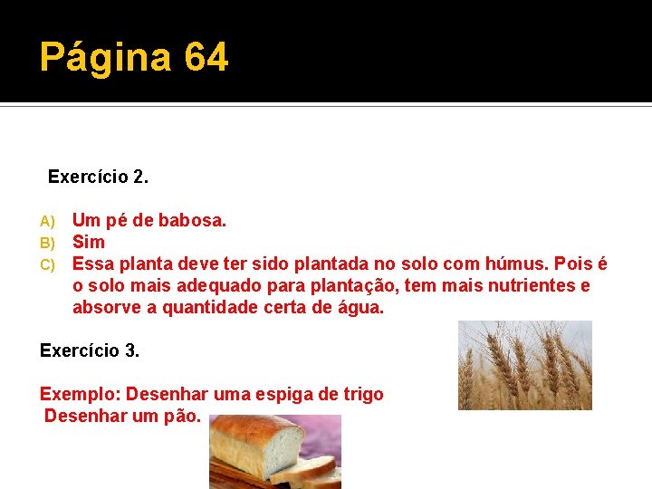 Página 64 Exercício 2. A) B) C) Um pé de babosa. Sim Essa planta