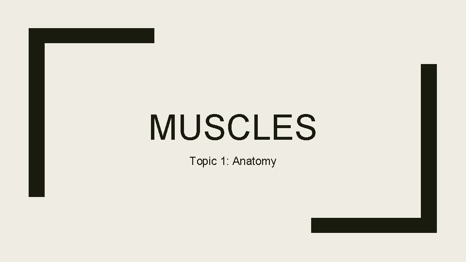 MUSCLES Topic 1: Anatomy 