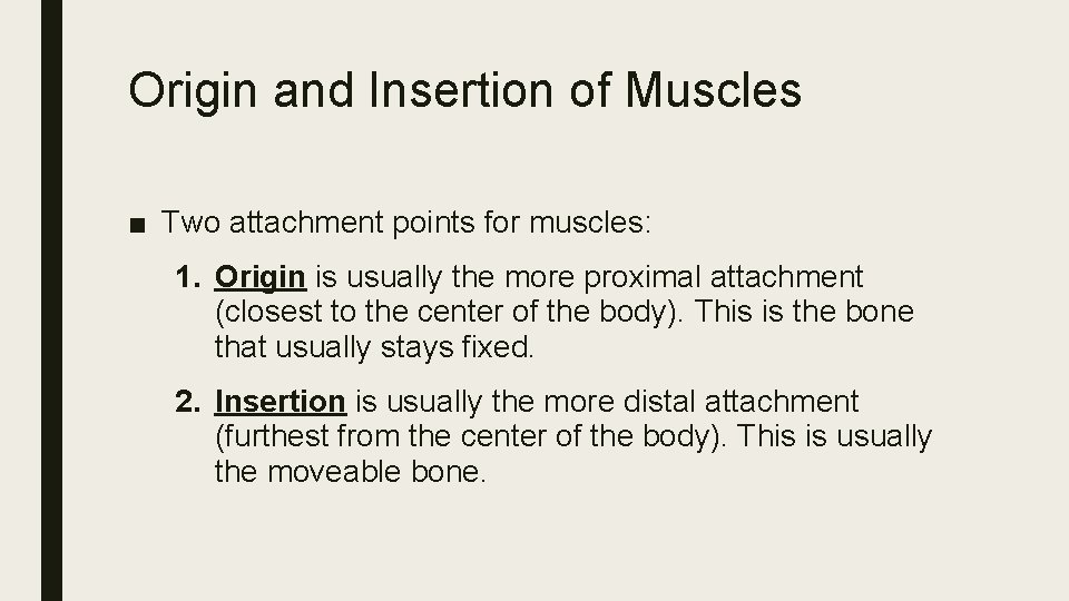 Origin and Insertion of Muscles ■ Two attachment points for muscles: 1. Origin is