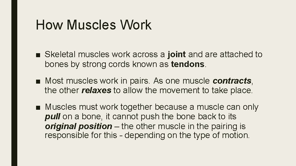 How Muscles Work ■ Skeletal muscles work across a joint and are attached to