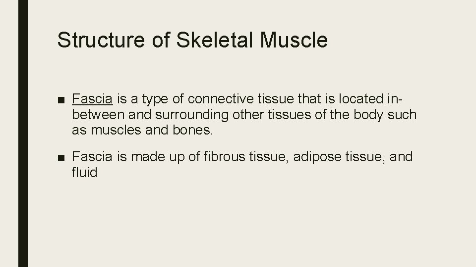 Structure of Skeletal Muscle ■ Fascia is a type of connective tissue that is