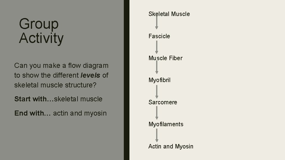 Group Activity Skeletal Muscle Fascicle Muscle Fiber Can you make a flow diagram to