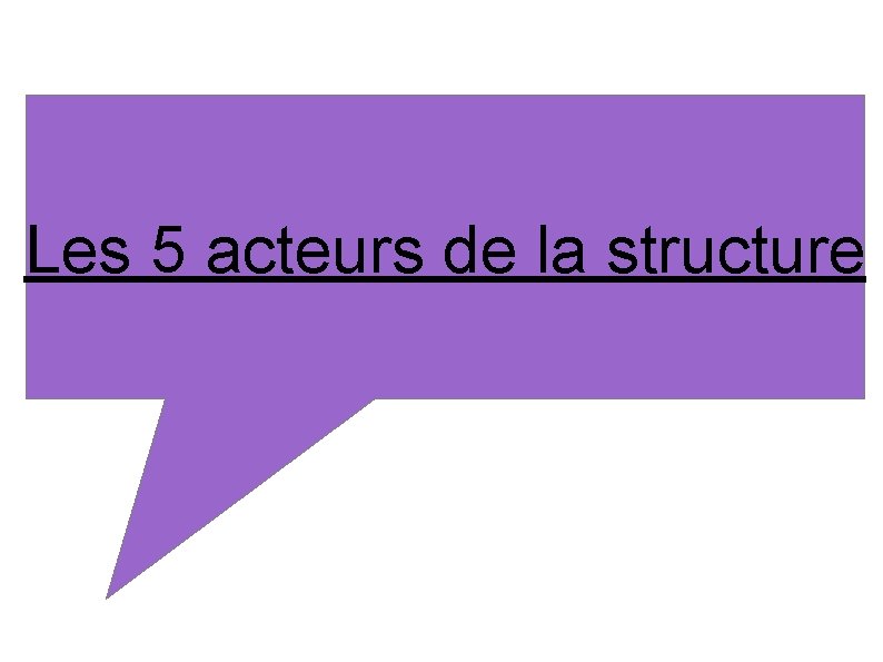 Les 5 acteurs de la structure 