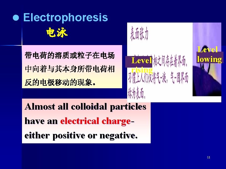 l Electrophoresis 电泳 带电荷的溶质或粒子在电场 中向着与其本身所带电荷相 Level rising Level lowing 反的电极移动的现象。 Almost all colloidal particles
