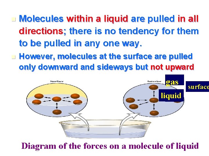 n Molecules within a liquid are pulled in all directions; there is no tendency