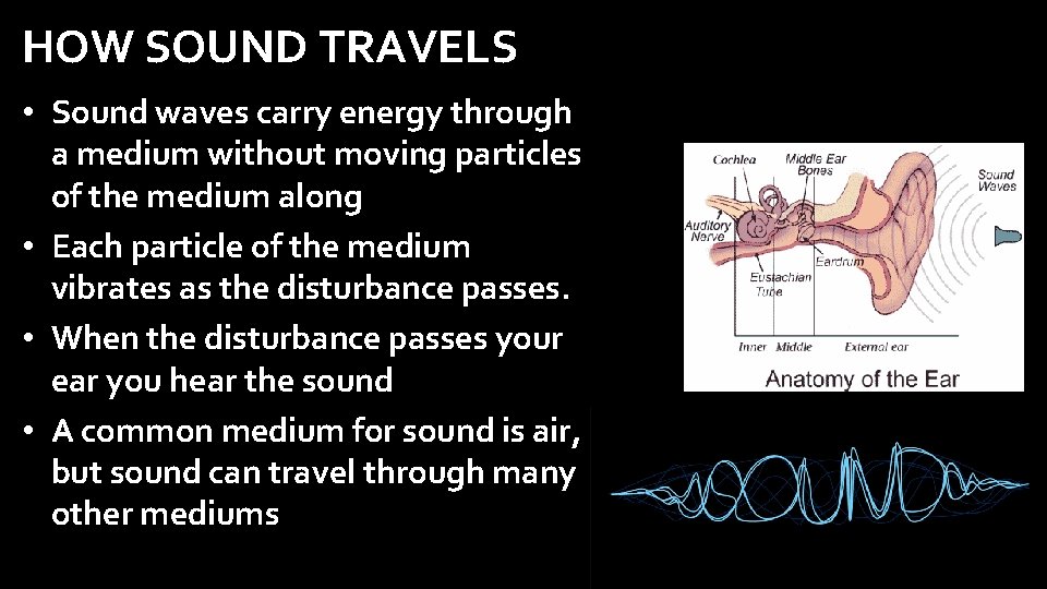 HOW SOUND TRAVELS • Sound waves carry energy through a medium without moving particles