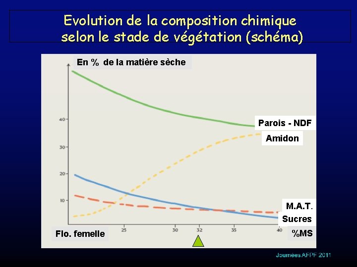 Evolution de la composition chimique selon le stade de végétation (schéma) En % de