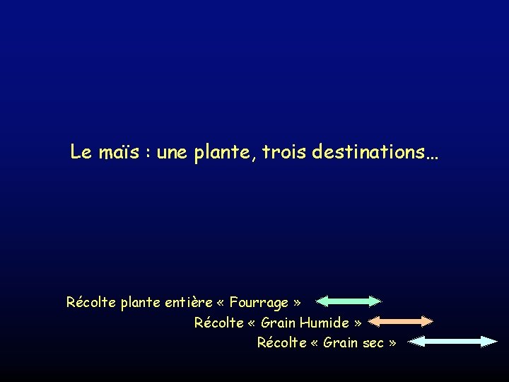 Le maïs : une plante, trois destinations… Récolte plante entière « Fourrage » Récolte