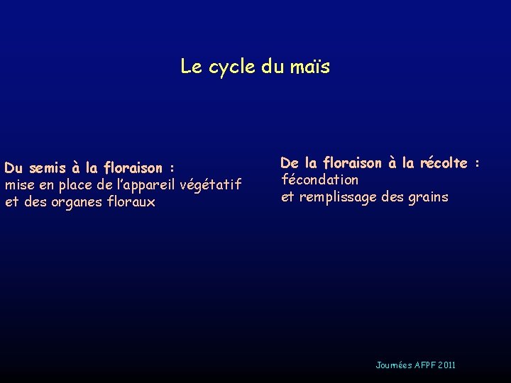 Le cycle du maïs Du semis à la floraison : mise en place de