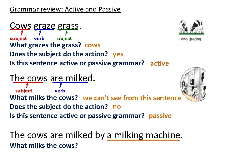 Grammar review: Active and Passive Cows graze grass. subject verb object What grazes the