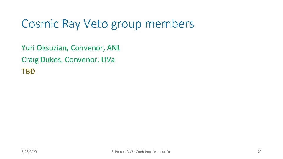 Cosmic Ray Veto group members Yuri Oksuzian, Convenor, ANL Craig Dukes, Convenor, UVa TBD Cosmic Ray Veto group members Yuri Oksuzian, Convenor, ANL Craig Dukes, Convenor, UVa TBD